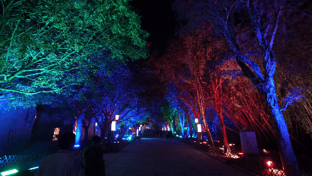 东升国际官网-钻营健全,你我一路成长