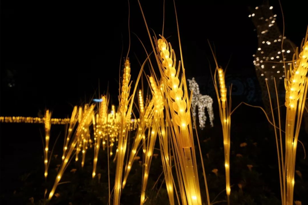 东升国际官网-钻营健全,你我一路成长