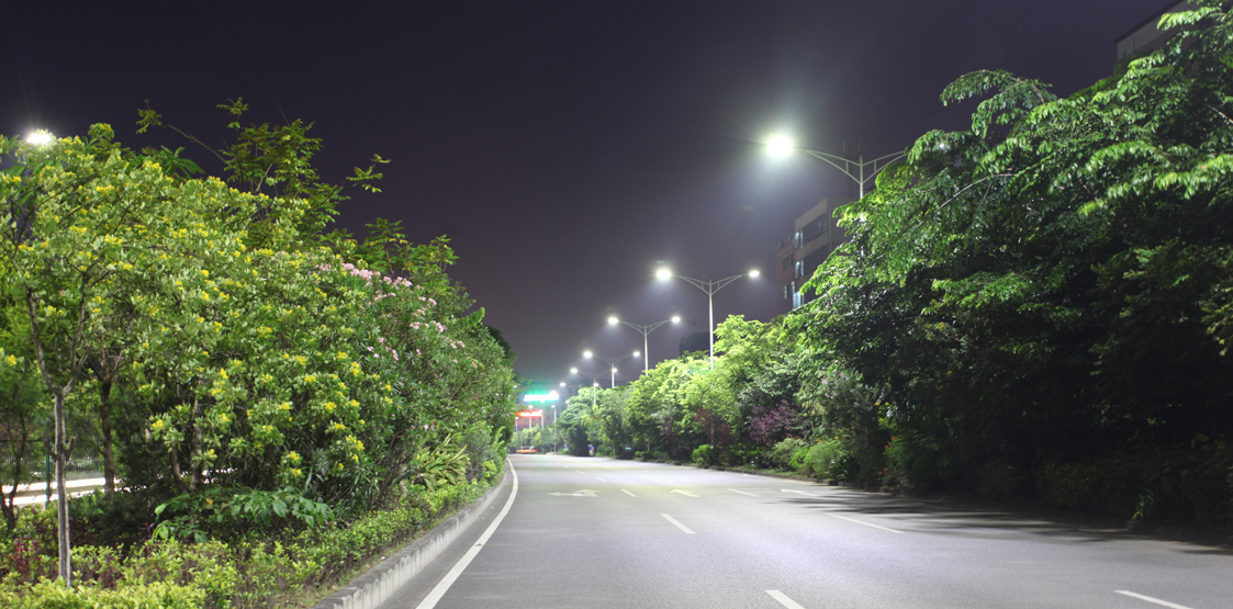 东升国际官网-钻营健全,你我一路成长