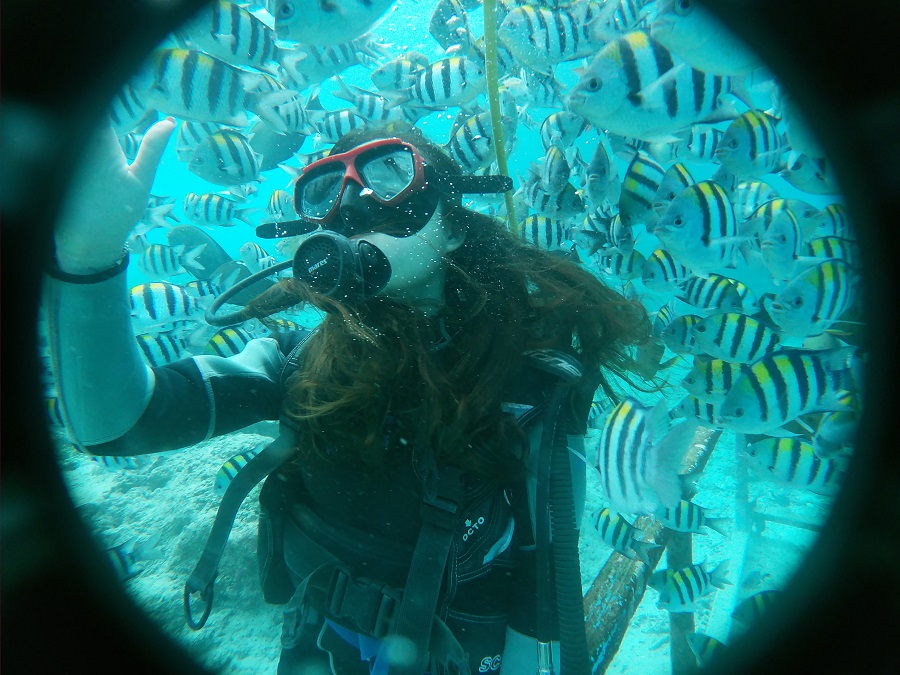 东升国际官网-钻营健全,你我一路成长