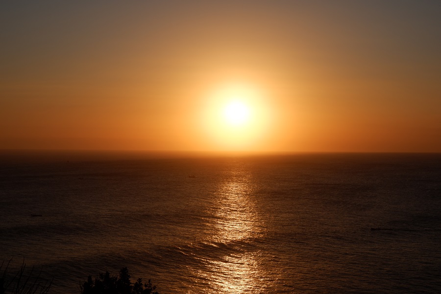 东升国际官网-钻营健全,你我一路成长