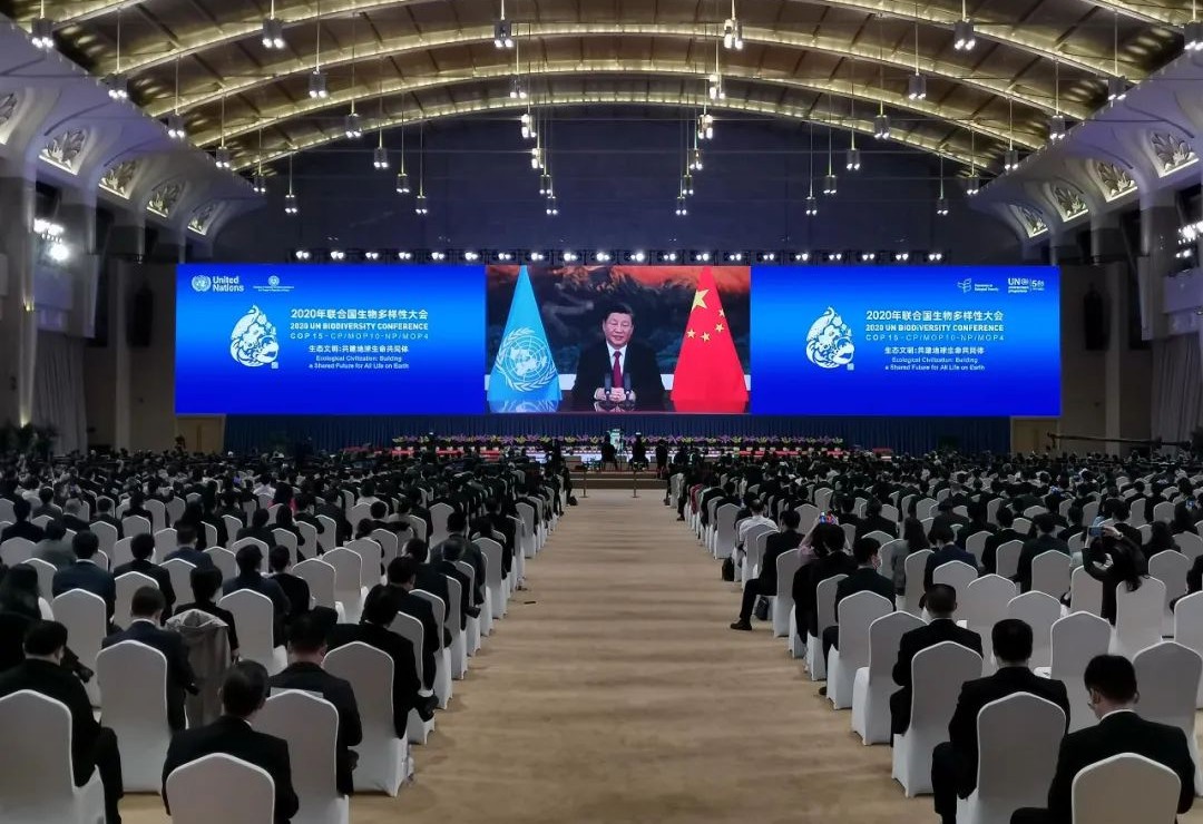 东升国际官网-钻营健全,你我一路成长