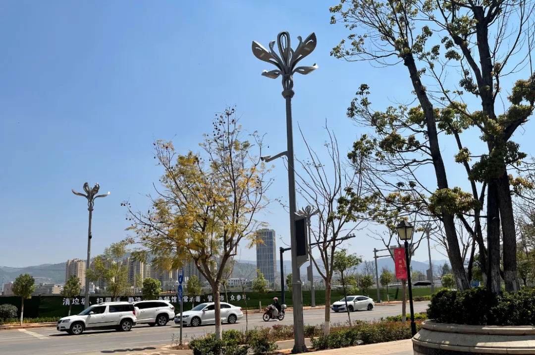 东升国际官网-钻营健全,你我一路成长