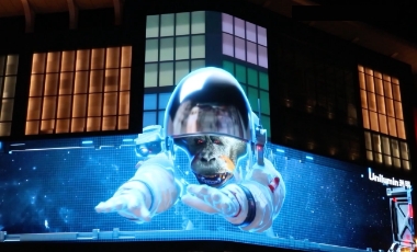 东升国际官网-钻营健全,你我一路成长